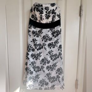 WHBM Size 0 Dress - New Condition